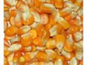 soyabean for animal feed - product's photo